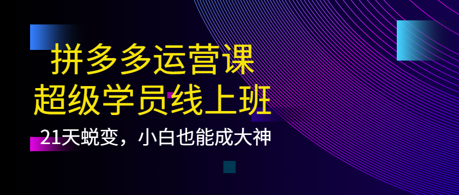 拼多多运营课：超级学员线上班，21天蜕变，小白也能成大神赚米吧-网创项目资源站-副业项目-创业项目-搞钱项目赚米吧