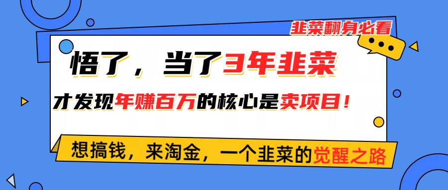 悟了，当了3年韭菜，才发现网赚圈年赚100万的核心是卖项目，含泪分享！赚米吧-网创项目资源站-副业项目-创业项目-搞钱项目赚米吧