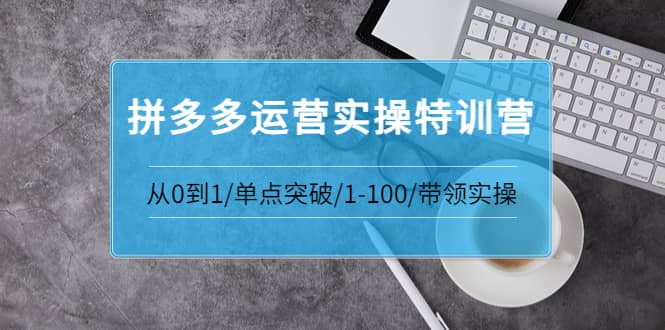 拼多多运营实操特训营：从0到1/单点突破/1-100/带领实操 价值2980元赚米吧-网创项目资源站-副业项目-创业项目-搞钱项目赚米吧
