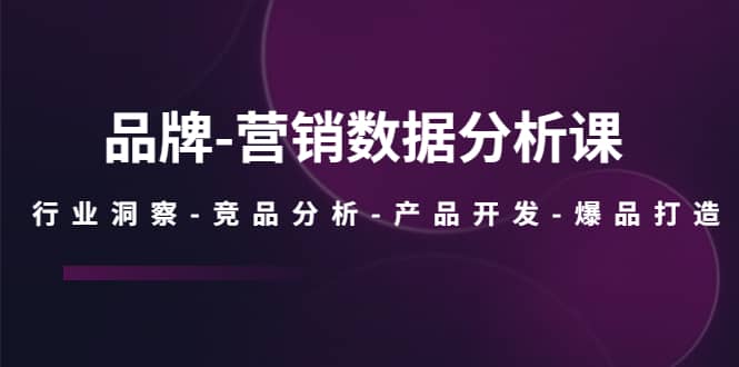 品牌-营销数据分析课，行业洞察-竞品分析-产品开发-爆品打造赚米吧-网创项目资源站-副业项目-创业项目-搞钱项目赚米吧
