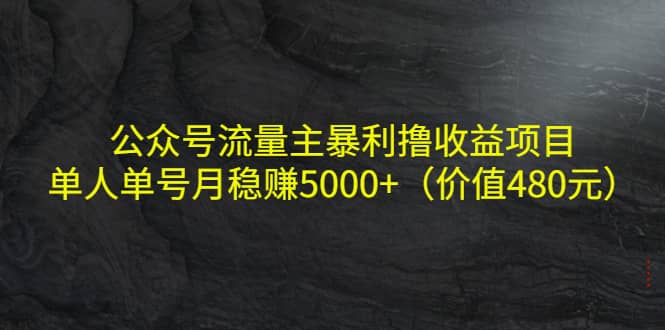 公众号流量主暴利撸收益项目，单人单号月稳赚5000+（价值480元）赚米吧-网创项目资源站-副业项目-创业项目-搞钱项目赚米吧