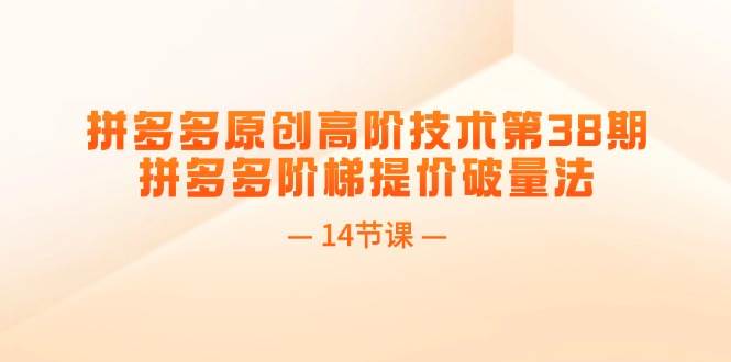 拼多多原创高阶技术第38期，拼多多阶梯提价破量法（14节课）赚米吧-网创项目资源站-副业项目-创业项目-搞钱项目赚米吧