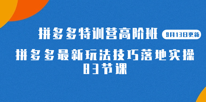 2023拼多多·特训营高阶班【9月13日更新】拼多多最新玩法技巧落地实操-83节赚米吧-网创项目资源站-副业项目-创业项目-搞钱项目赚米吧