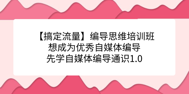 【搞定流量】编导思维培训班，想成为优秀自媒体编导先学自媒体编导通识1.0赚米吧-网创项目资源站-副业项目-创业项目-搞钱项目赚米吧