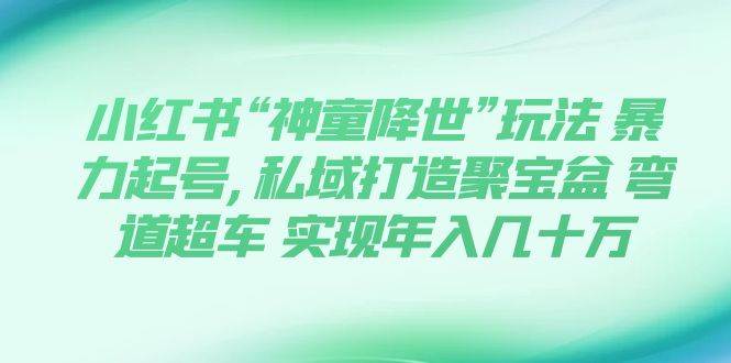 小红书“神童降世”玩法 暴力起号,私域打造聚宝盆 弯道超车 实现年入几十万赚米吧-网创项目资源站-副业项目-创业项目-搞钱项目赚米吧