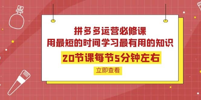 拼多多运营必修课：20节课每节5分钟左右，用最短的时间学习最有用的知识赚米吧-网创项目资源站-副业项目-创业项目-搞钱项目赚米吧
