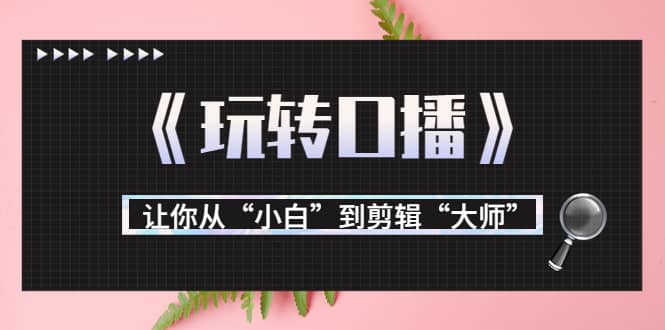 月营业额700万+大佬教您《玩转口播》让你从“小白”到剪辑“大师”赚米吧-网创项目资源站-副业项目-创业项目-搞钱项目赚米吧