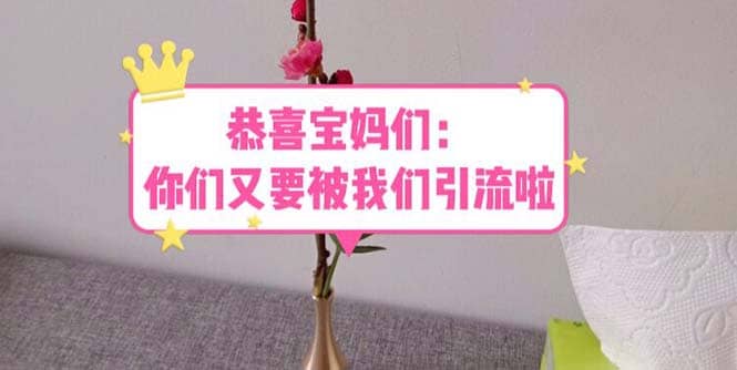 恭喜宝妈们：你们又要被我们引流了（教程+222g资料）赚米吧-网创项目资源站-副业项目-创业项目-搞钱项目赚米吧