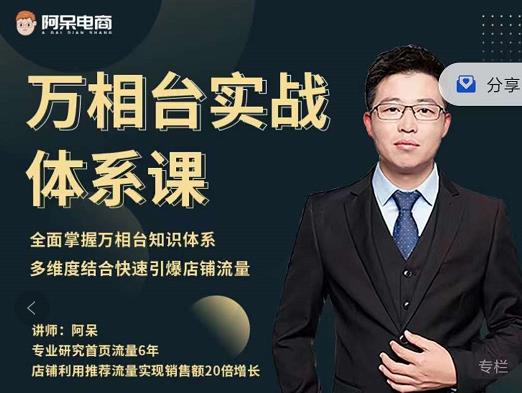 阿呆-万相台实战体系课，帮您全面掌握万相台知识体系赚米吧-网创项目资源站-副业项目-创业项目-搞钱项目赚米吧