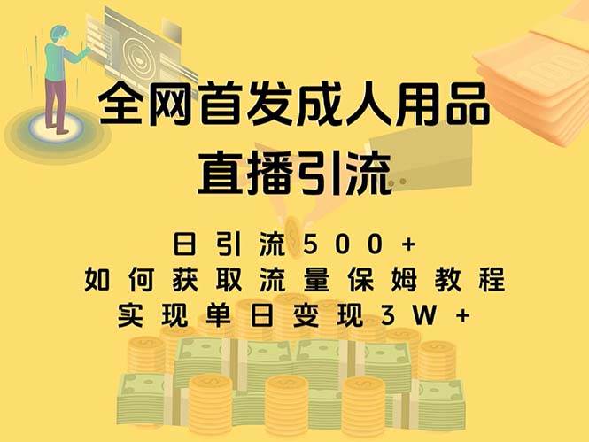 最新全网独创首发，成人用品直播引流获客暴力玩法，单日变现3w保姆级教程赚米吧-网创项目资源站-副业项目-创业项目-搞钱项目赚米吧
