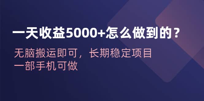 一天收益5000+怎么做到的？无脑搬运即可，长期稳定项目，一部手机可做赚米吧-网创项目资源站-副业项目-创业项目-搞钱项目赚米吧
