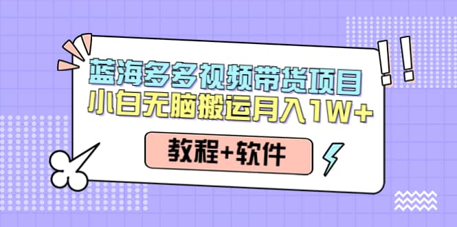 人人都能操作的蓝海多多视频带货项目 小白无脑搬运（教程+软件）赚米吧-网创项目资源站-副业项目-创业项目-搞钱项目赚米吧