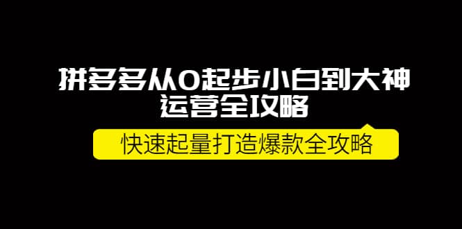 拼多多从0起步小白到大神运营全攻略赚米吧-网创项目资源站-副业项目-创业项目-搞钱项目赚米吧