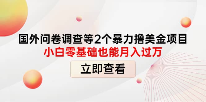 国外问卷调查等2个暴力撸美元项目，小白零基础也能月入过万赚米吧-网创项目资源站-副业项目-创业项目-搞钱项目赚米吧