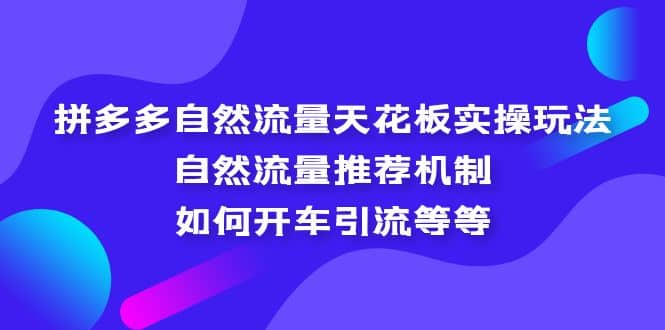 拼多多自然流量天花板实操玩法：自然流量推荐机制，如何开车引流等等赚米吧-网创项目资源站-副业项目-创业项目-搞钱项目赚米吧