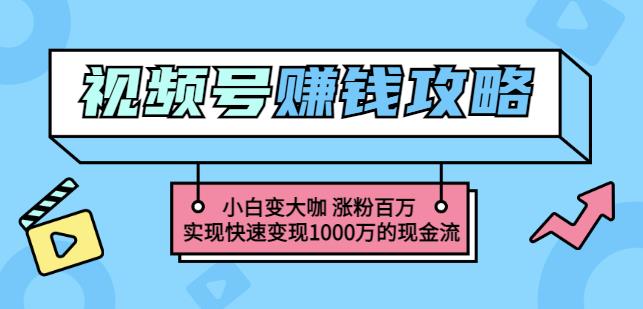 玩转微信视频号赚钱：小白变大咖涨粉百万实现快速变现1000万的现金流赚米吧-网创项目资源站-副业项目-创业项目-搞钱项目赚米吧