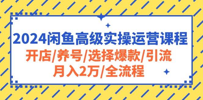 2024闲鱼高级实操运营课程：开店/养号/选择爆款/引流/月入2万/全流程赚米吧-网创项目资源站-副业项目-创业项目-搞钱项目赚米吧
