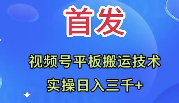 全网首发：视频号平板搬运技术，实操日入三千＋赚米吧-网创项目资源站-副业项目-创业项目-搞钱项目赚米吧