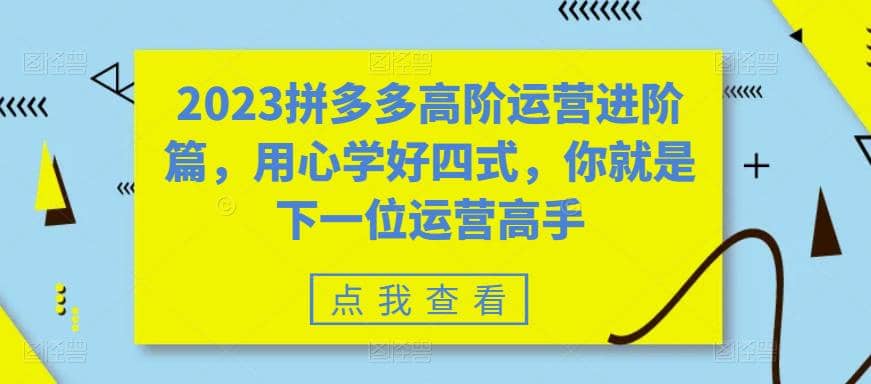 2023拼多多高阶运营进阶篇，用心学好四式，你就是下一位运营高手赚米吧-网创项目资源站-副业项目-创业项目-搞钱项目赚米吧