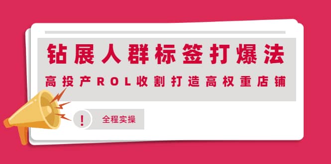 钻展人群标签打爆法，高投产ROL收割打造高权重店铺(全程实操)赚米吧-网创项目资源站-副业项目-创业项目-搞钱项目赚米吧