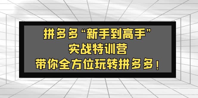 拼多多“新手到高手”实战特训营：带你全方位玩转拼多多赚米吧-网创项目资源站-副业项目-创业项目-搞钱项目赚米吧