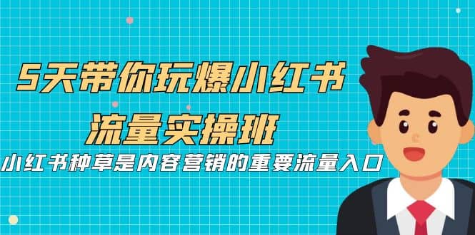 5天带你玩爆小红书流量实操班，小红书种草是内容营销的重要流量入口赚米吧-网创项目资源站-副业项目-创业项目-搞钱项目赚米吧