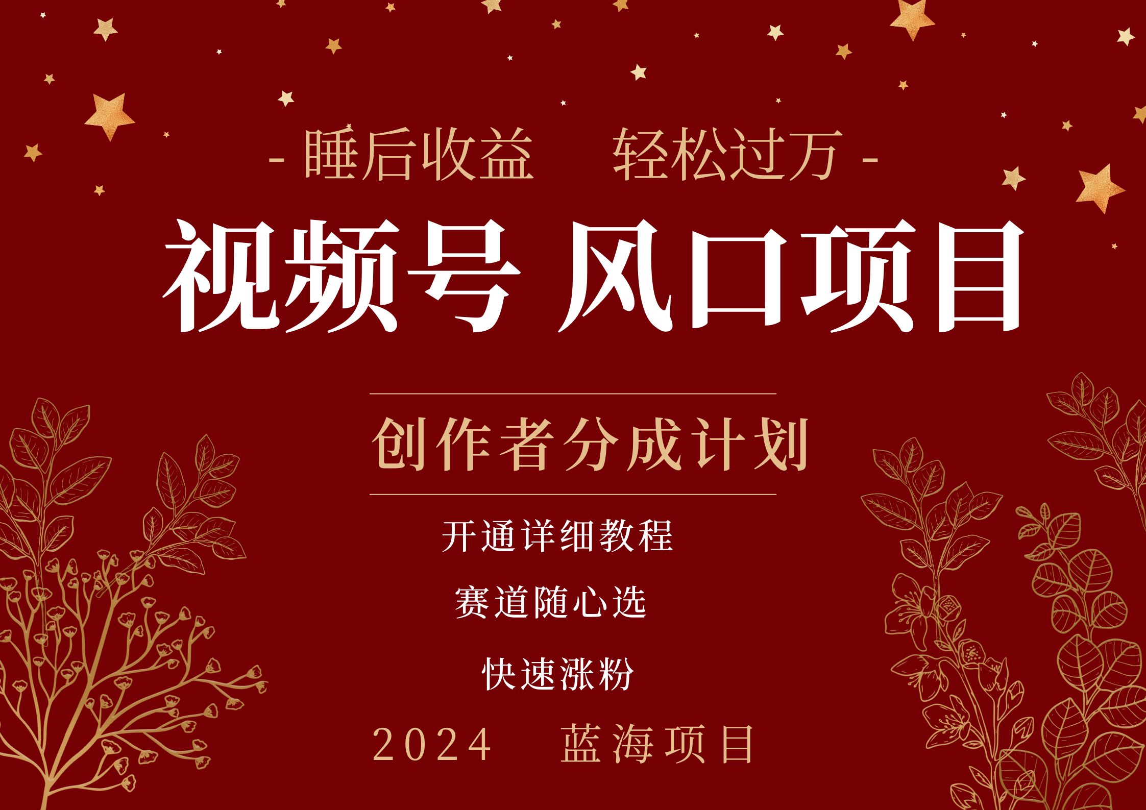 拥有睡眠收益的微信视频号大风口项目，轻松月入过万+，多赛道选择，可矩阵，玩法简单轻松上手赚米吧-网创项目资源站-副业项目-创业项目-搞钱项目赚米吧