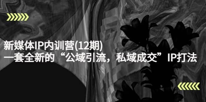 新媒体IP内训营(12期)，一套全新的“公域引流，私域成交”IP打法，直接带走赚米吧-网创项目资源站-副业项目-创业项目-搞钱项目赚米吧