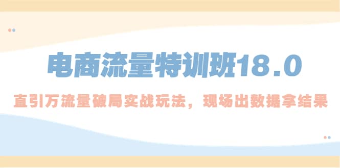 电商流量特训班18.0，直引万流量破局实操玩法，现场出数据拿结果赚米吧-网创项目资源站-副业项目-创业项目-搞钱项目赚米吧