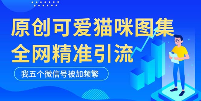 黑科技纯原创可爱猫咪图片，全网精准引流，实操5个VX号被加频繁赚米吧-网创项目资源站-副业项目-创业项目-搞钱项目赚米吧