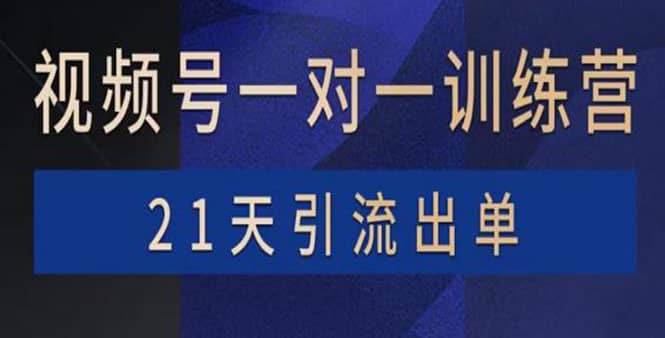 视频号训练营：带货，涨粉，直播，游戏，四大变现新方向，21天引流出单赚米吧-网创项目资源站-副业项目-创业项目-搞钱项目赚米吧