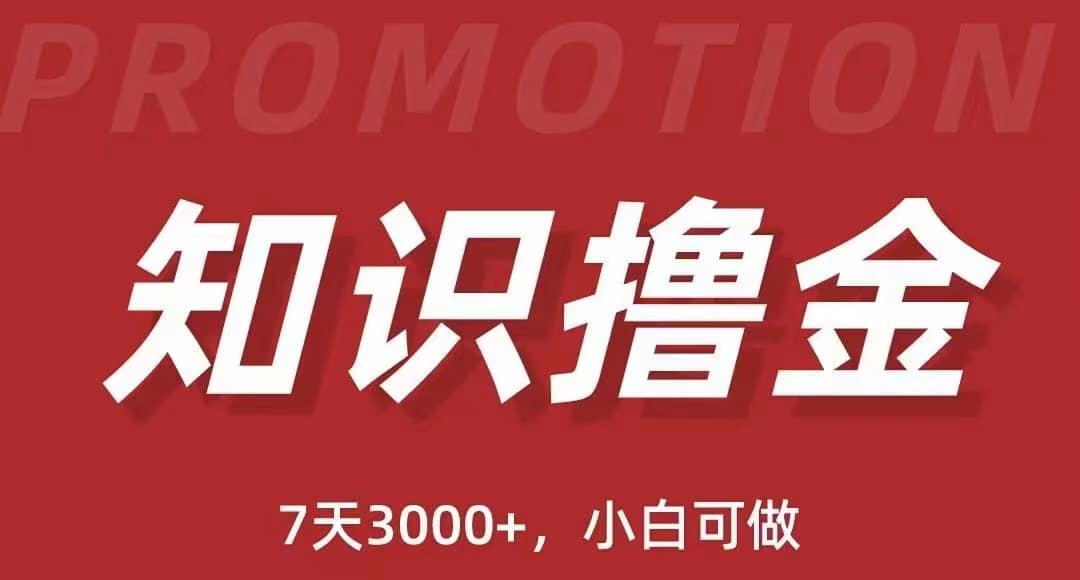 抖音知识撸金项目：执行力强当天见收益(教程+资料)赚米吧-网创项目资源站-副业项目-创业项目-搞钱项目赚米吧
