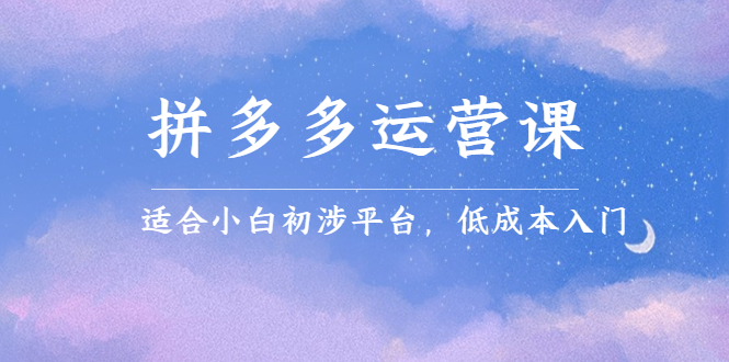 拼多多运营课，适合小白初涉平台，低成本入门赚米吧-网创项目资源站-副业项目-创业项目-搞钱项目赚米吧