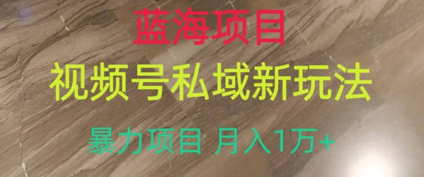 蓝海项目，视频号私域新玩法，暴力项目月入1万+【揭秘】赚米吧-网创项目资源站-副业项目-创业项目-搞钱项目赚米吧