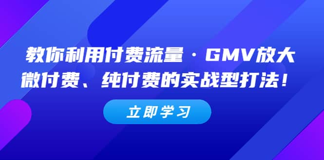 教你利用付费流量·GMV放大，微付费、纯付费的实战型打法赚米吧-网创项目资源站-副业项目-创业项目-搞钱项目赚米吧