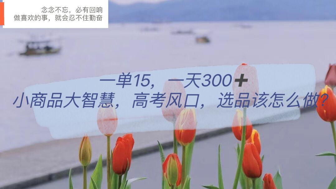 一单15，一天300+，小商品大智慧，高考风口，选品该怎么布局赚米吧-网创项目资源站-副业项目-创业项目-搞钱项目赚米吧