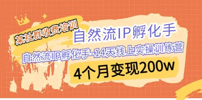 某社群收费培训：自然流IP 孵化手-14天线上实操训练营 4个月变现200w赚米吧-网创项目资源站-副业项目-创业项目-搞钱项目赚米吧