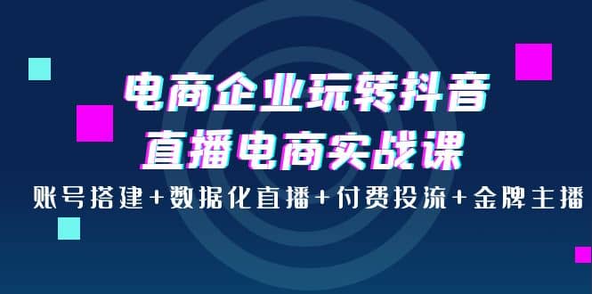 电商企业玩转抖音直播电商实战课：账号搭建+数据化直播+付费投流+金牌主播赚米吧-网创项目资源站-副业项目-创业项目-搞钱项目赚米吧
