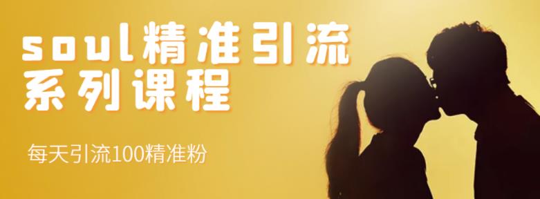 soul精准引流系列课程，每天引流100精准粉赚米吧-网创项目资源站-副业项目-创业项目-搞钱项目赚米吧