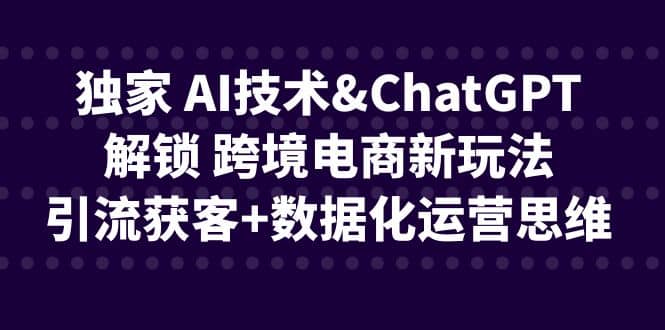 独家 AI技术ChatGPT解锁 跨境电商新玩法，引流获客+数据化运营思维赚米吧-网创项目资源站-副业项目-创业项目-搞钱项目赚米吧