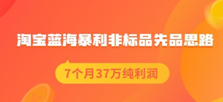 盗坤淘宝蓝海暴利非标品先品思路，7个月37万纯利润，压箱干货分享！【付费文章】赚米吧-网创项目资源站-副业项目-创业项目-搞钱项目赚米吧