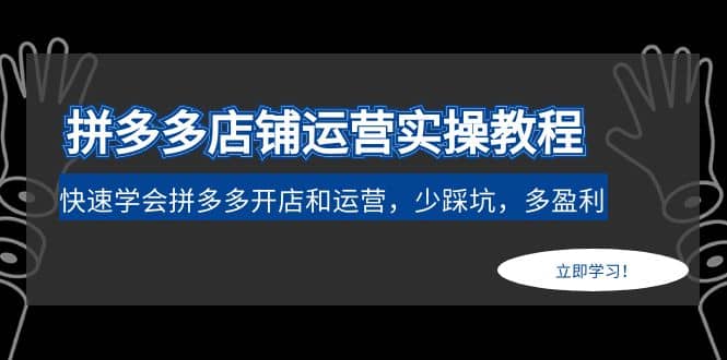 拼多多店铺运营实操教程：快速学会拼多多开店和运营，少踩坑，多盈利赚米吧-网创项目资源站-副业项目-创业项目-搞钱项目赚米吧