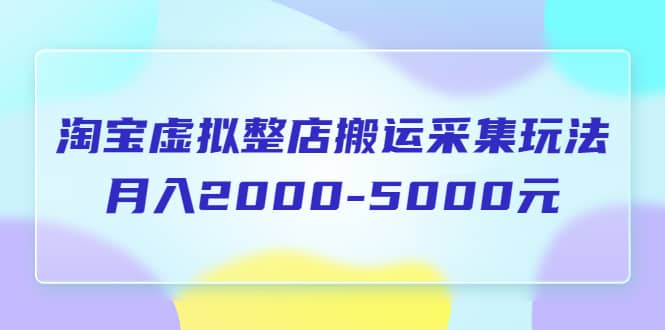 淘宝虚拟整店搬运采集玩法分享课：月入2000-5000元（5节课）赚米吧-网创项目资源站-副业项目-创业项目-搞钱项目赚米吧