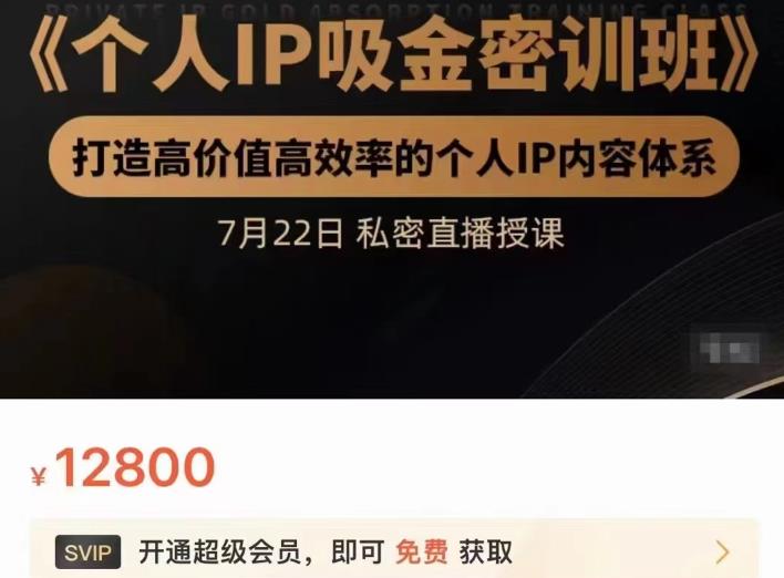 个人IP吸金密训班，打造高价值高效率的个人IP内容体系（价值12800元）赚米吧-网创项目资源站-副业项目-创业项目-搞钱项目赚米吧