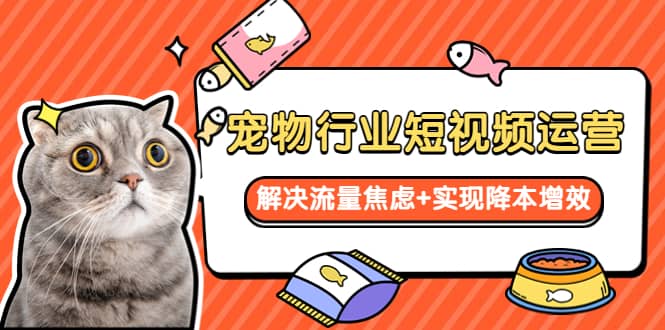 宠物/行业短视频运营 流量增长的一层窗户纸 解决流量焦虑+实现降本增效赚米吧-网创项目资源站-副业项目-创业项目-搞钱项目赚米吧