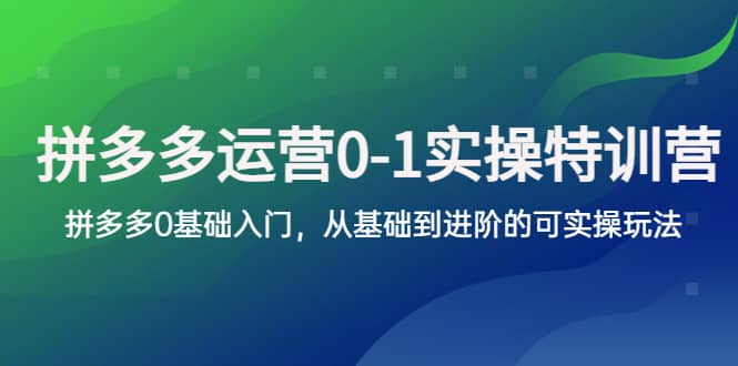 拼多多-运营0-1实操训练营，拼多多0基础入门，从基础到进阶的可实操玩法赚米吧-网创项目资源站-副业项目-创业项目-搞钱项目赚米吧