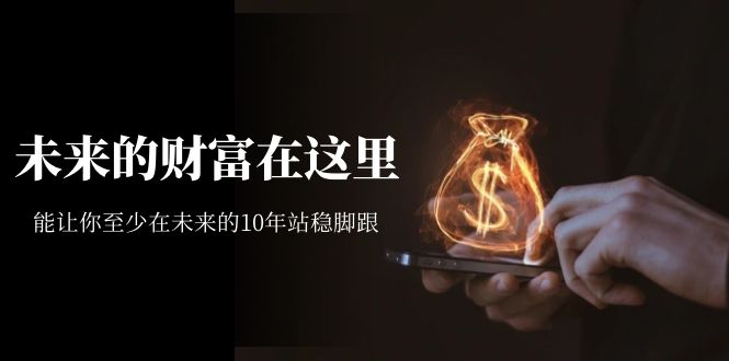 某收费文章《未来的财富在这里》能让你至少在未来的10年站稳脚跟赚米吧-网创项目资源站-副业项目-创业项目-搞钱项目赚米吧