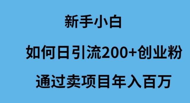 新手小白如何日引流200+创业粉通过卖项目年入百万赚米吧-网创项目资源站-副业项目-创业项目-搞钱项目赚米吧