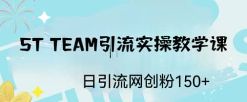 ST TEAM引流实操课，日引流网创粉100+赚米吧-网创项目资源站-副业项目-创业项目-搞钱项目赚米吧