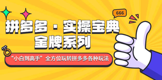 拼多多·实操宝典：金牌系列“小白到高手”带你全方位玩转拼多多各种玩法赚米吧-网创项目资源站-副业项目-创业项目-搞钱项目赚米吧